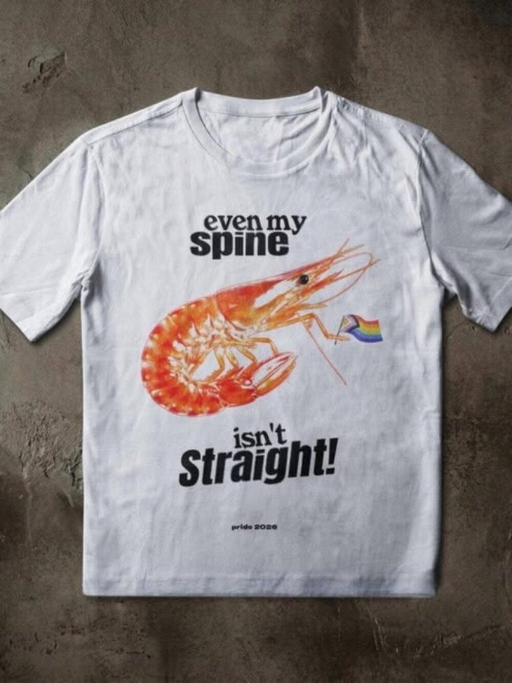 Gay Shrimp Pride Tee, Progress Pride Flag Tee